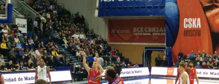 Alexander Gomelsky CSKA USH is one of olympics.