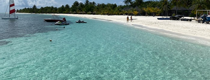 Kuredu Island Resort is one of Maldives.