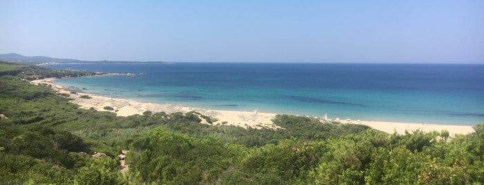 Spiaggia Lu Litarroni is one of Сардиния.