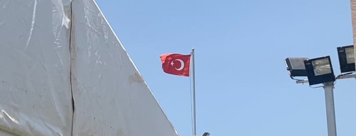 Turkish Consulate is one of other.