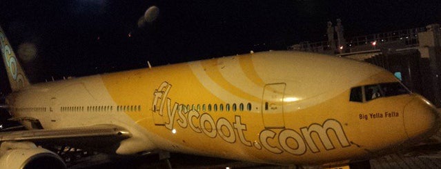 Scoot TZ 202 is one of Cさんのお気に入りスポット.