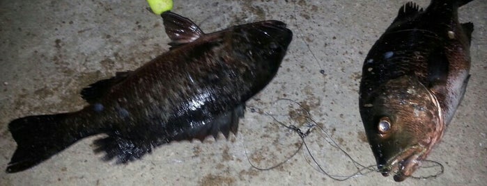 Kolam Memancing Ikan Masin is one of Terengganu MY.