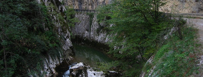 Ulukaya Kanyonu is one of Bartın.