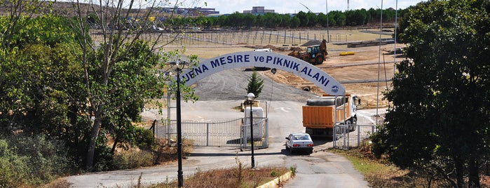 Pendik Belediyesi Kurban Satış ve Kesim Alanı is one of Pendik Belediyesi.