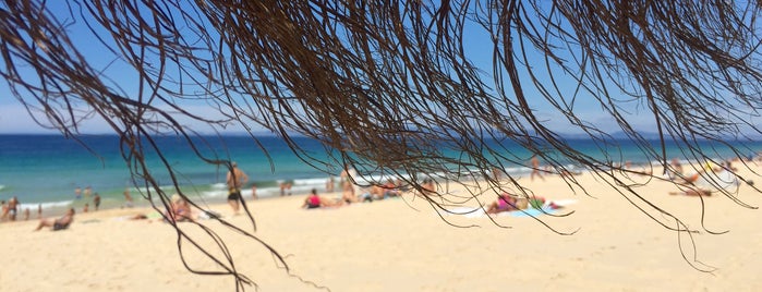 Praia do Pego is one of lisbon.