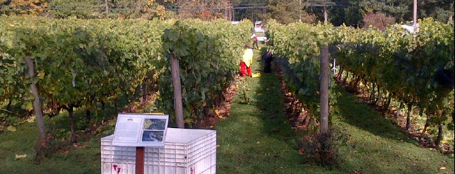 Township 7 Vineyards & Winery (Coast) is one of Langley Passport Wine Tour.