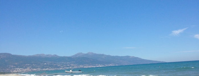 Plage de Pineto is one of Corsica.