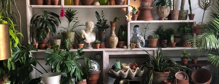 Objects & Plants