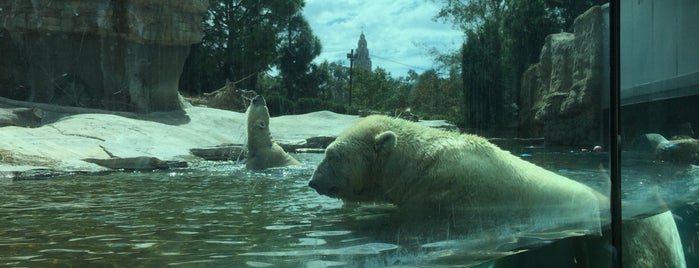 San Diego Zoo is one of Tempat yang Disukai Rosaura.