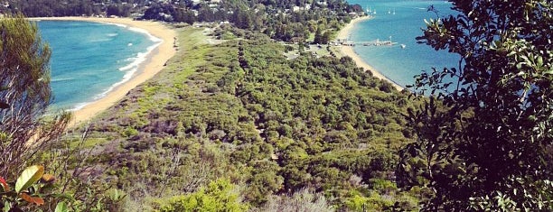 South West Barrenjoey Climbing Area is one of Darren’s Liked Places.