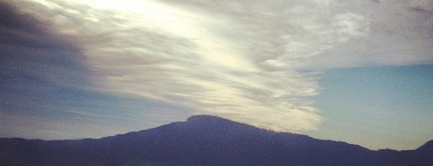 Serra do Mar is one of Brasil, VOL I.