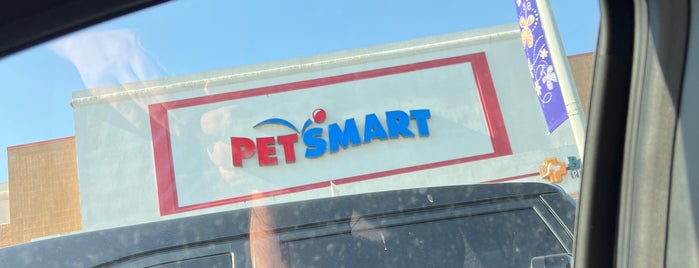 PetSmart is one of Dallas Día 1.
