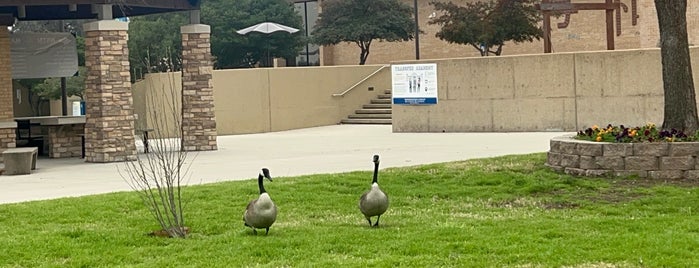 Tarrant County College (Northeast Campus) is one of Work locations.