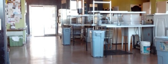 Wildcat Laundry Company is one of University of Arizona.