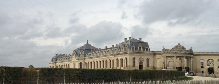 Musée Vivant du Cheval is one of France.