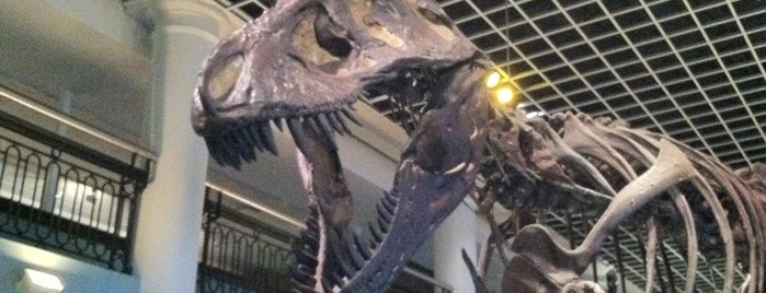 The Academy of Natural Sciences of Drexel University is one of Favorite Philly Spots.
