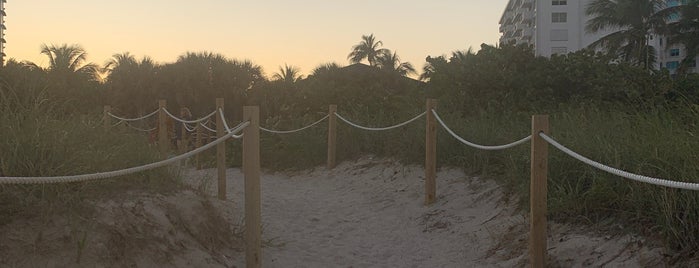 53rd Street Beach is one of สถานที่ที่ Lara ถูกใจ.