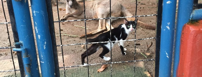 Maharani Zoo & Goa Lamongan is one of Jelajah Wisata Jawa Timur.