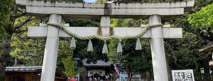 太子堂八幡神社 is one of 世田谷区の神社.