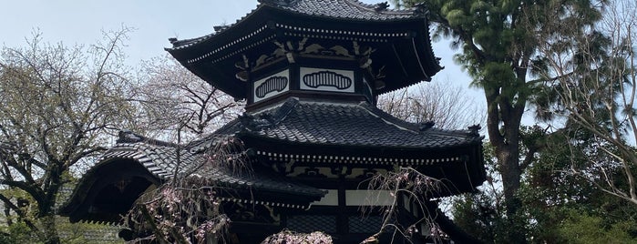 世田谷山観音寺 (世田谷観音) is one of 神社仏閣.