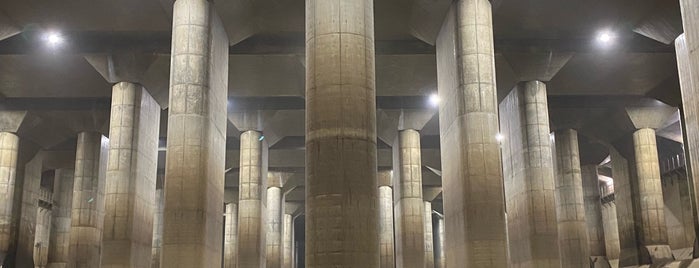 Metropolitan Area Outer Underground Discharge Channel is one of abandoned places.