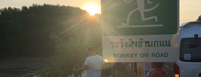 Monkey Seeing is one of สถานที่ที่ Алексей ถูกใจ.