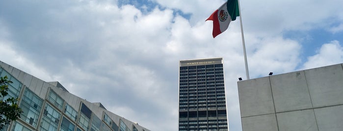 Hyatt Regency Andares Guadalajara is one of สถานที่ที่ Baruch ถูกใจ.