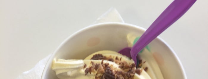 Berry Mango's Frozen Yogurt Bar is one of love it!.