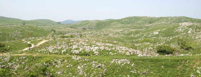 Akiyoshidai Plateau is one of STU48(山口ver.).