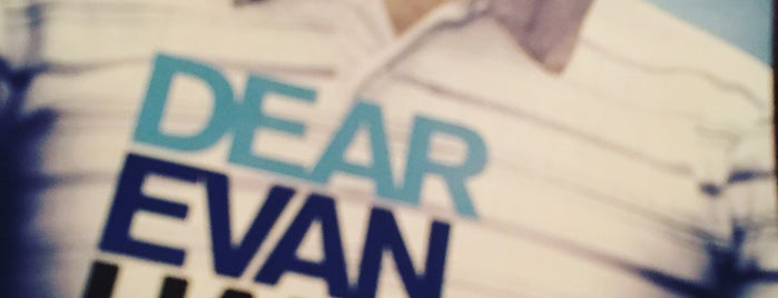 Dear Evan Hansen is one of NYC.