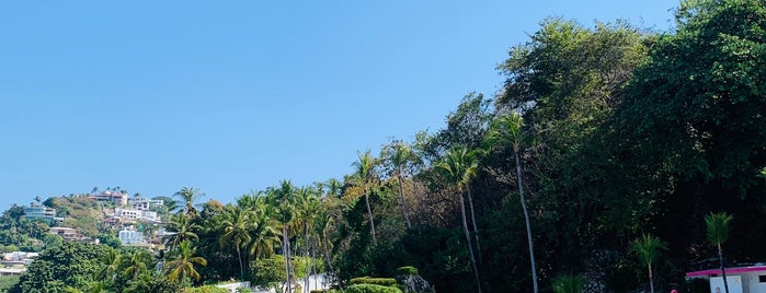 La Concha Club is one of Acapulco.