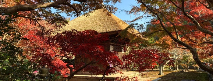 長寿寺 is one of 神奈川ココに行く！.