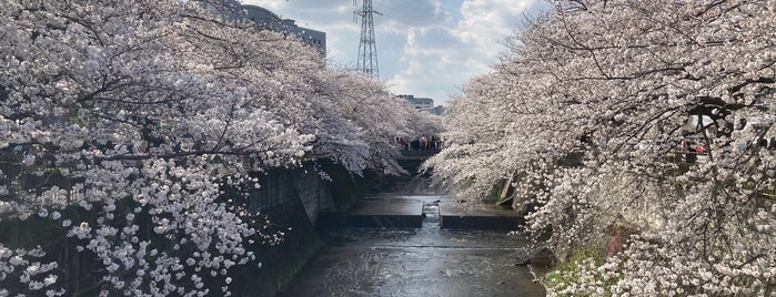 恩田川 桜並木 is one of 町田・相模原散策♪.