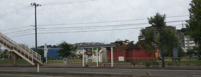 鹿野公園 is one of 広い公園.