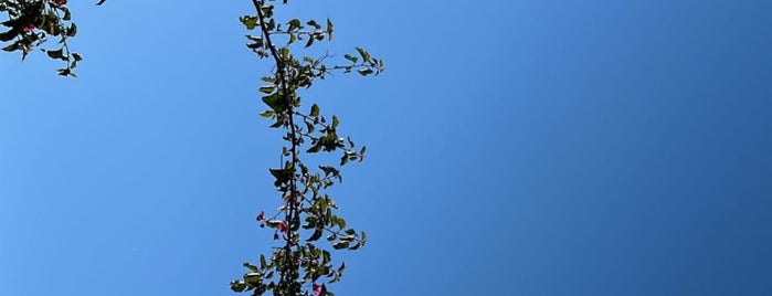 uluç tahtakale is one of Havva'nın Beğendiği Mekanlar.