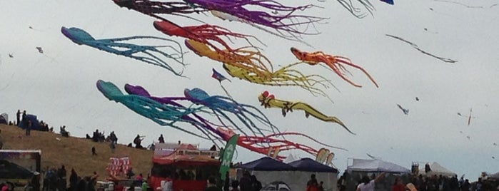 Berkeley Kite Fest is one of Locais curtidos por Misia.