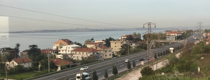 Altınova is one of yerler.