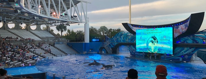 Shamu Stadium is one of Carlos 님이 좋아한 장소.