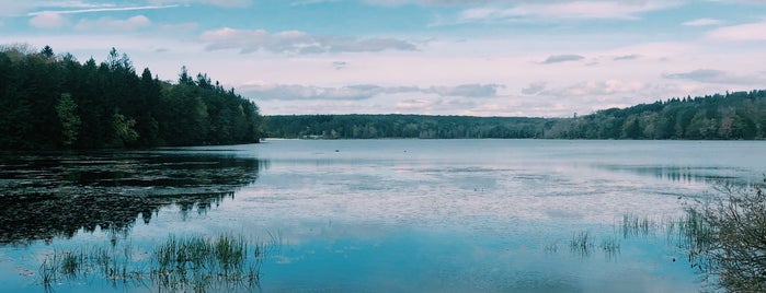 Conservation Island-Promised Land State Park is one of BEST OF: Honesdale, PA.