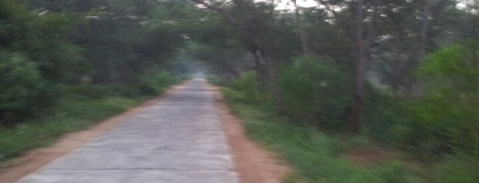 Indroda Nature Park is one of Gujarat Tourist Circuit.