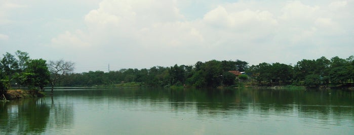 Rawa Binong is one of Kota Deltamas.