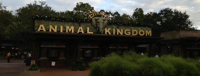 Disney's Animal Kingdom is one of Orlando Sites.