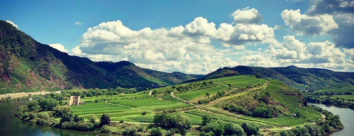 Moselschleife is one of สถานที่ที่ Jana ถูกใจ.