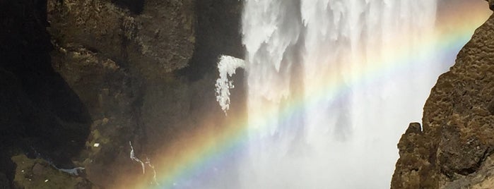 Skógafoss is one of Lieux qui ont plu à Jana.