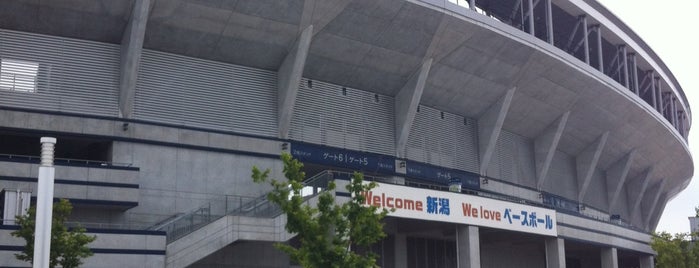 Hard Off Eco Stadium Niigata is one of Baseball Stadium.