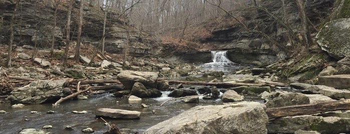 McCormick's Creek State Park is one of Indiana State Parks and Reservoirs.