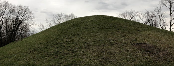 Shrum Mound is one of Ohio History.