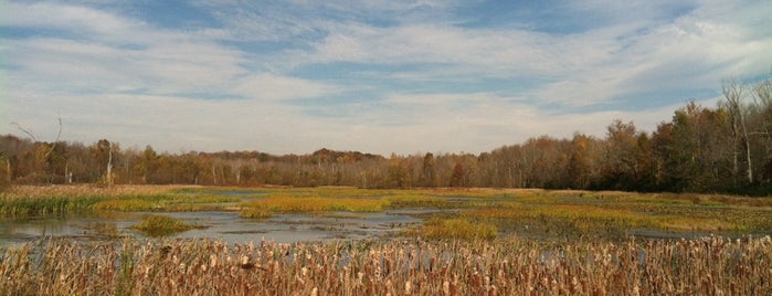 Muscatatuck National Wildlife Refuge is one of National Wildlife Refuges.