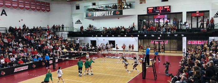 Cardinal Arena is one of UofL Sports.