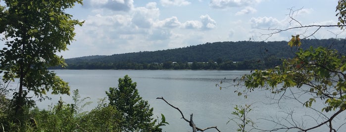 O'Bannon Woods State Park is one of Indiana State Parks and Reservoirs.